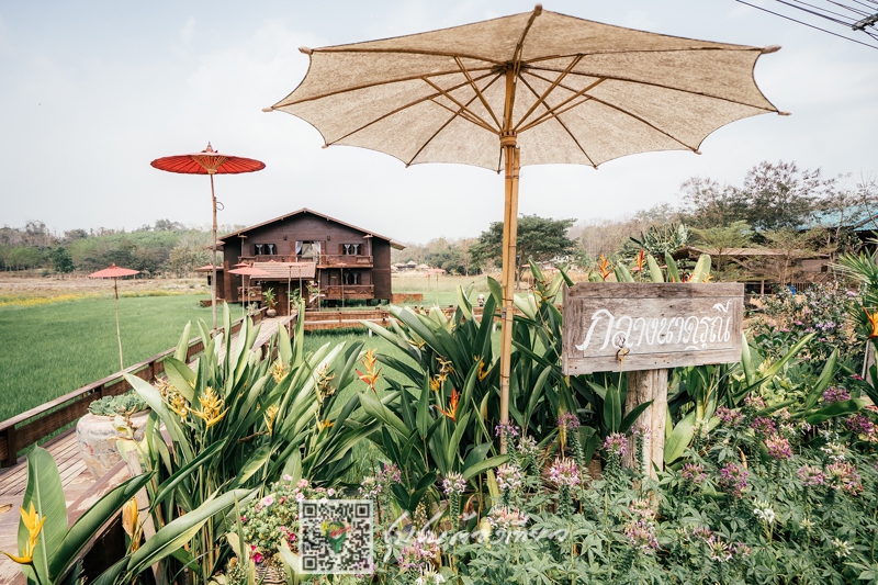 บ้านนาต้นจั่น จังหวัดสุโขทัย