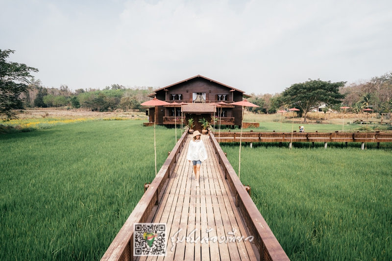 บ้านนาต้นจั่น จังหวัดสุโขทัย