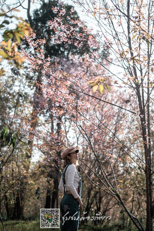 บ้านหนองแม่นา จังหวัดเพชรบูรณ์