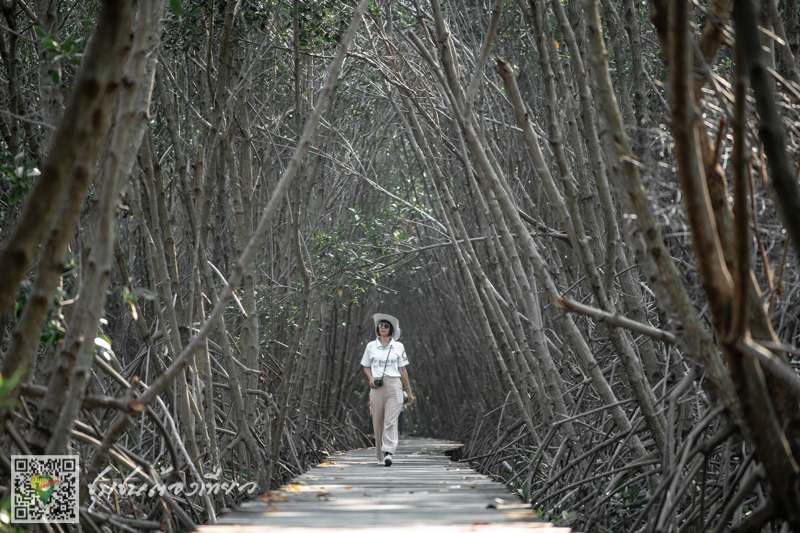 ชุมชนบ้านถ้ำรงค์ จังหวัดเพชรบุรี