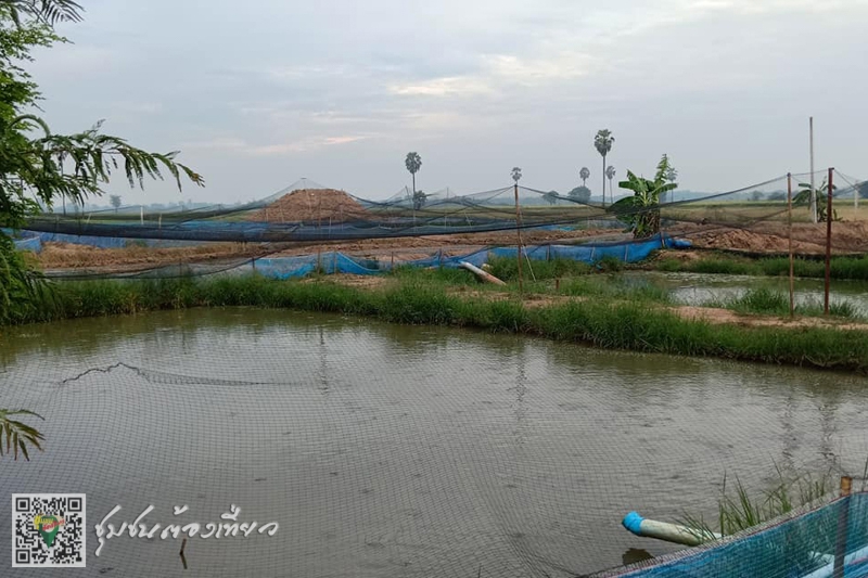 ชุมชนลำน้ำแม่ลา จังหวัดสิงห์บุรี