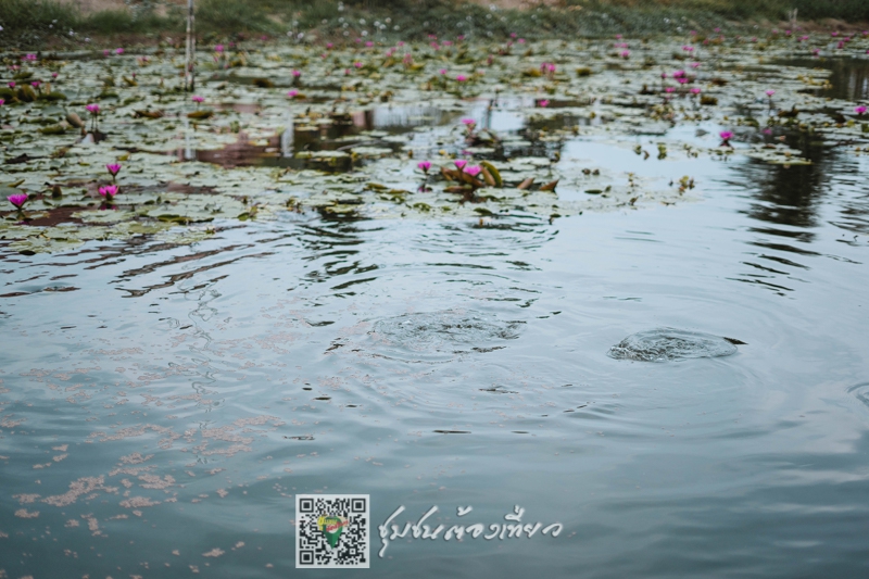 ชุมชนบ้านโพธิ์ศรี จังหวัดสุพรรณบุรี