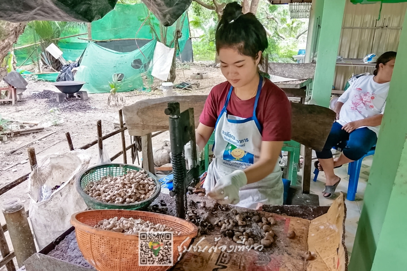 ชุมชนท่องเที่ยวเกาะพยาม จังหวัดระนอง