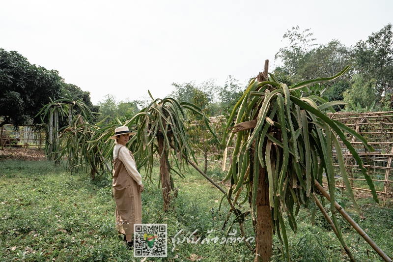 ชุมชนต้องเที่ยว ::  ชุมชนบ้านเขาใหญ่  จังหวัดชลบุรี