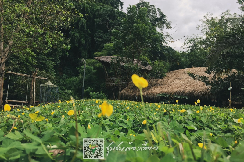 ชุมชนต้องเที่ยว ::  ชุมชนบ้านเขาใหญ่  จังหวัดชลบุรี