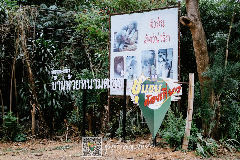 ชุมชนต้องเที่ยวชุมชนบ้านห้วยหนามตะเข้