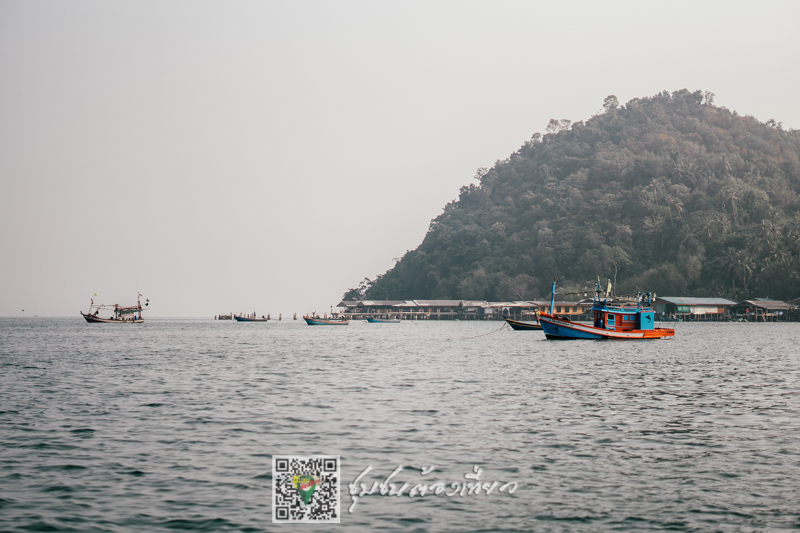 ชุมชนต้องเที่ยว  ชุมชนบ้านเกาะพิทักษ์ จังหวัดชุมพร