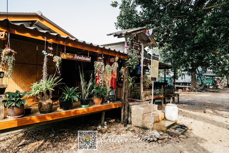 ชุมชนต้องเที่ยว  ชุมชนบ้านเกาะพิทักษ์ จังหวัดชุมพร
