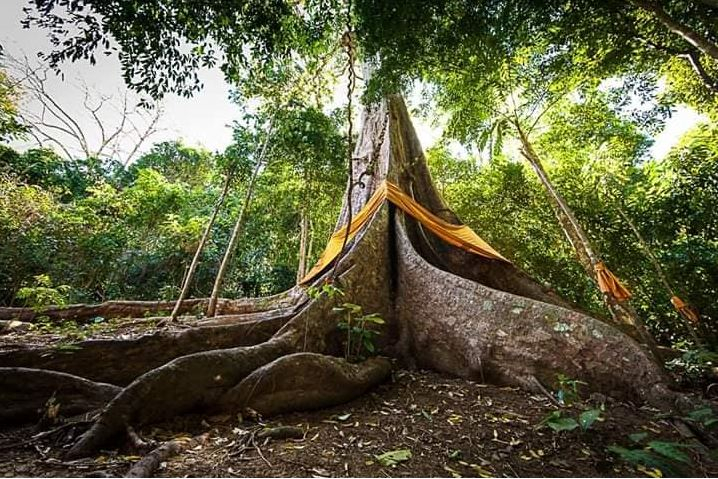 ชุมชนต้องเที่ยว ::  ชุมชนบ้านเขาใหญ่  จังหวัดชลบุรี