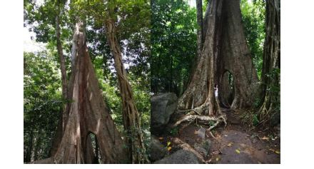 ชุมชนต้องเที่ยว ชุมชนบ้านทุ่งเพล จังหวัดจันทบุรี