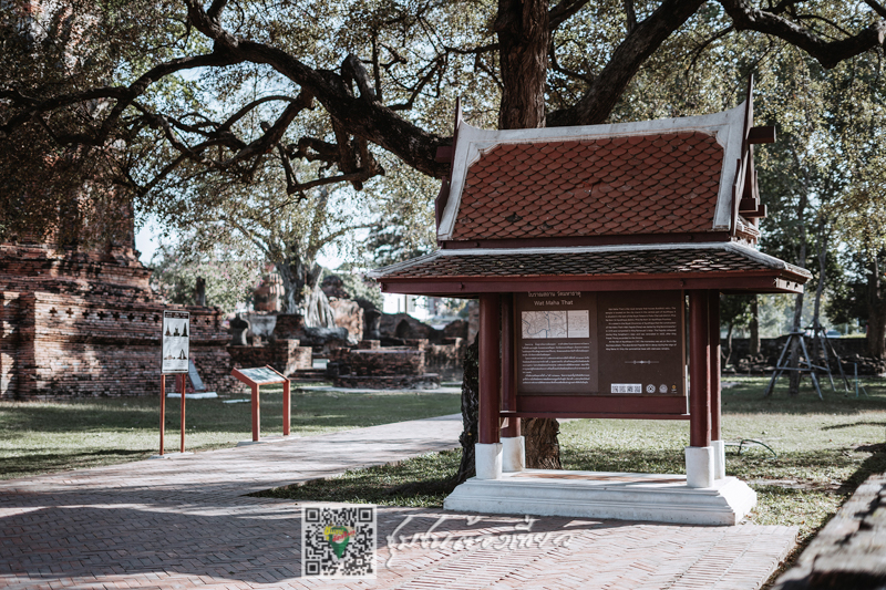 ชุมชนต้องเที่ยว ชุมชนบ้านไทรน้อย จ.พระนครศรีอยุธยา
