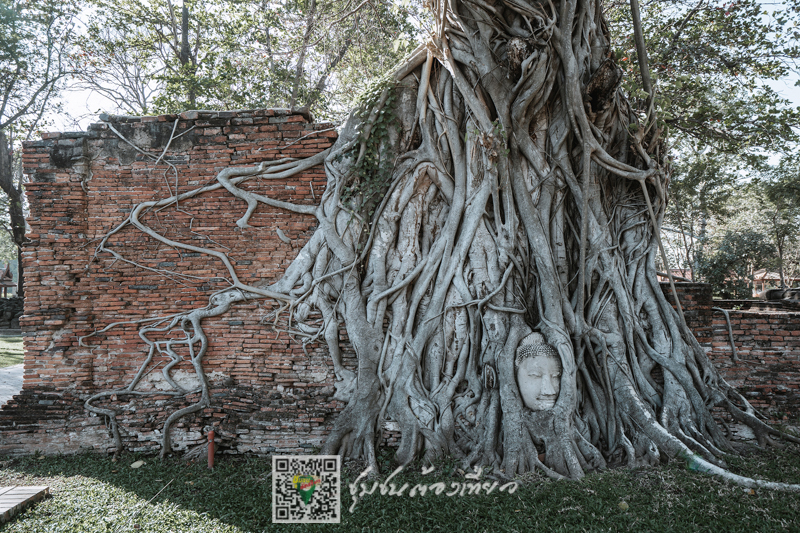 ชุมชนต้องเที่ยว ชุมชนบ้านไทรน้อย จ.พระนครศรีอยุธยา