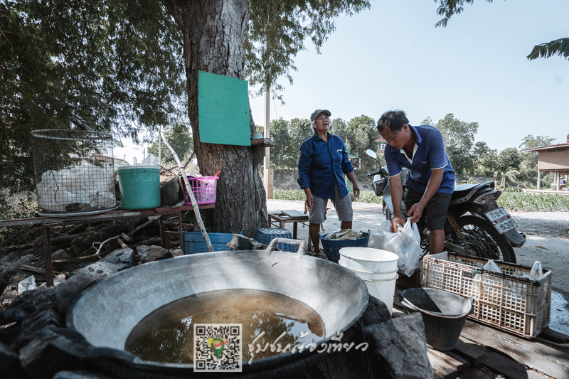 ชุมชนต้องเที่ยว ชุมชนบ้านไทรน้อย จ.พระนครศรีอยุธยา