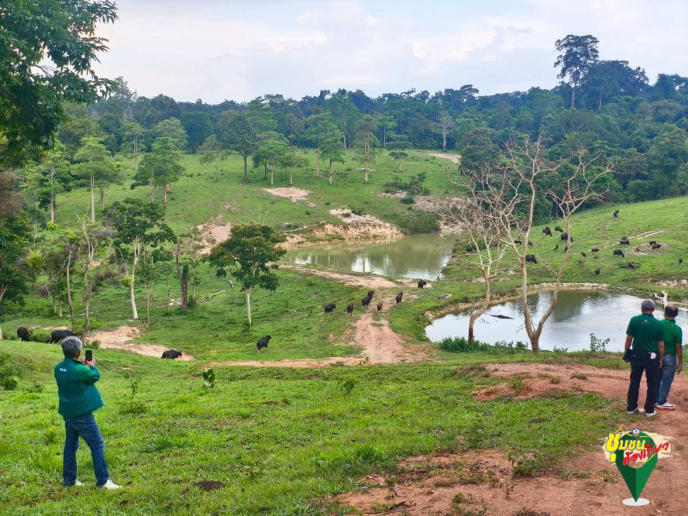 ชุมชนต้องเที่ยวชุมชนท่องเที่ยวบ้านคลองทราย