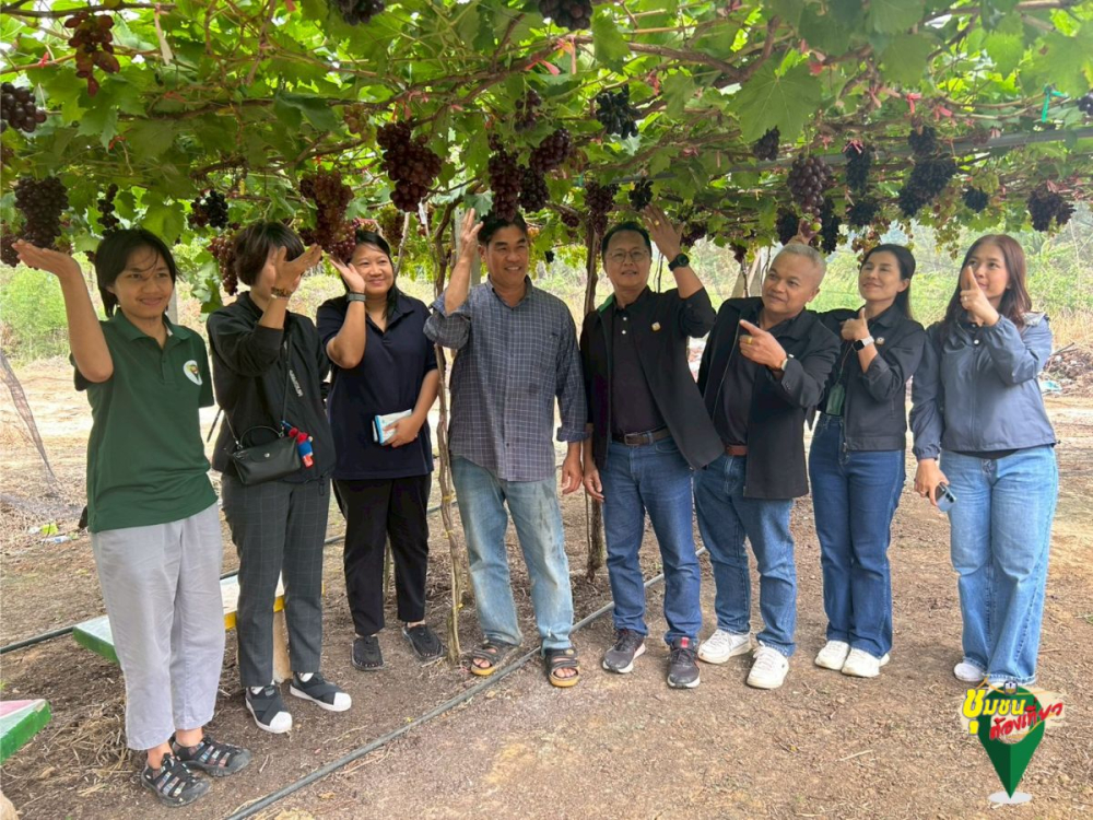 ชุมชนต้องเที่ยวชุมชนท่องเที่ยวบ้านคลองทราย