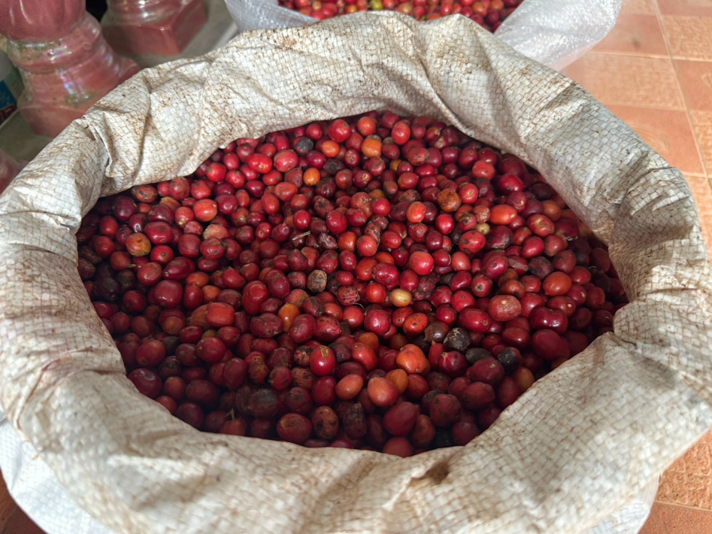 ชุมชนต้องเที่ยวชุมชนท่องเที่ยวบ้านลำขนุน