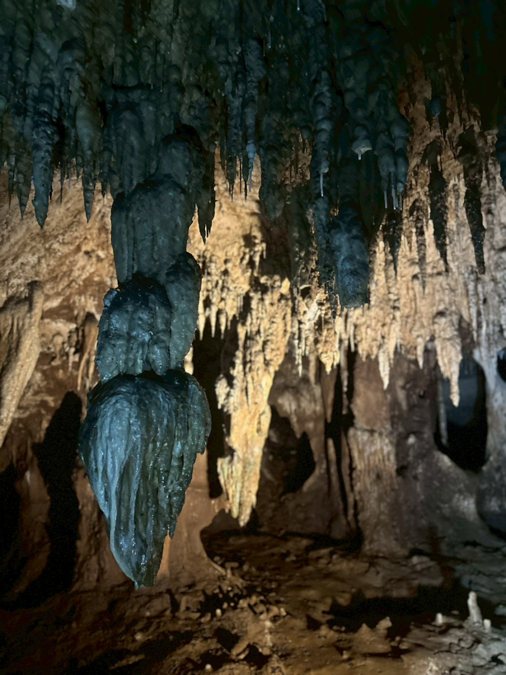 ชุมชนต้องเที่ยวชุมชนท่องเที่ยวบ้านลำขนุน