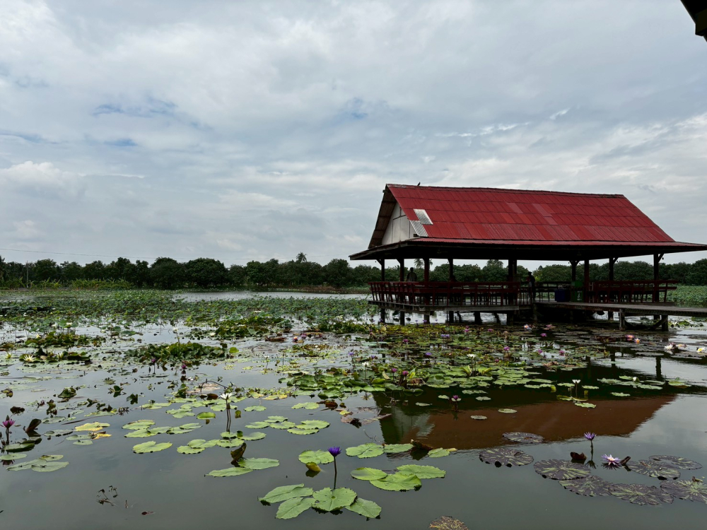 ชุมชนต้องเที่ยวชุมชนท่องเที่ยวบ้านศาลาดิน