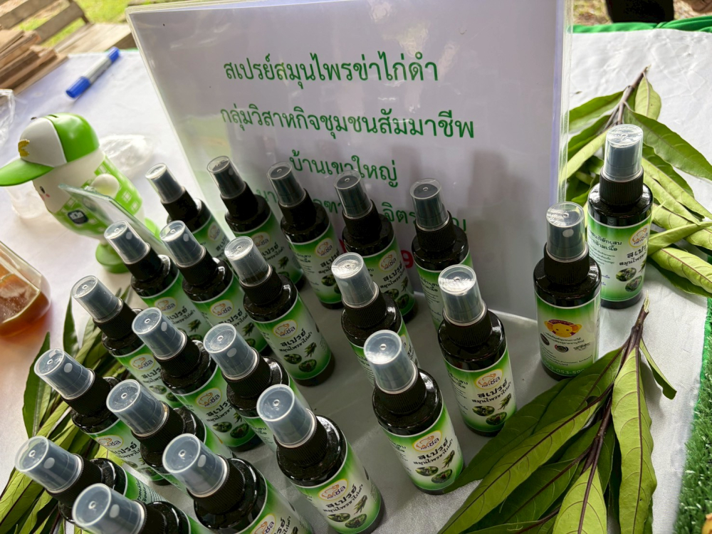 ชุมชนท่องเที่ยวบ้านเขาใหญ่ จังหวัดชลบุรี