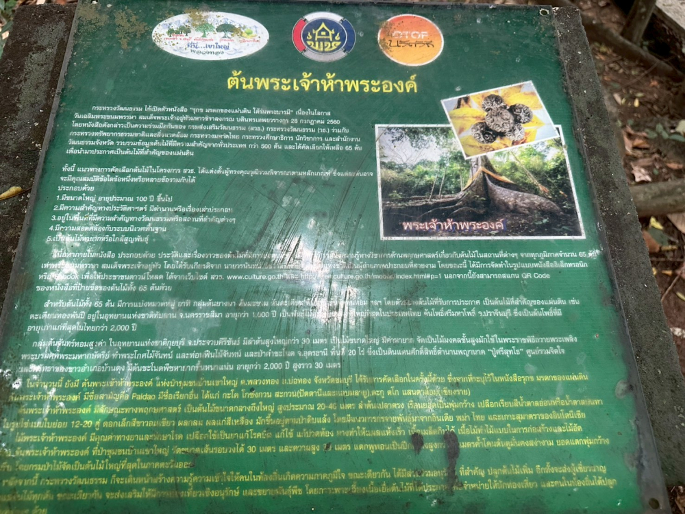 ชุมชนท่องเที่ยวบ้านเขาใหญ่ จังหวัดชลบุรี