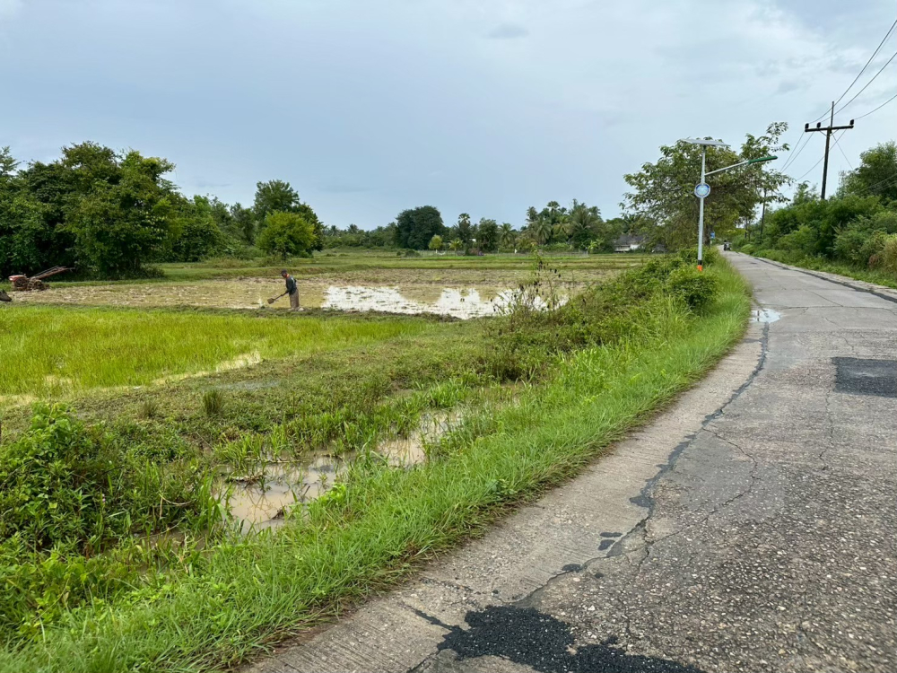 ชุมชนท่องเที่ยวบ้านไหนหนัง จังหวัดกระบี่