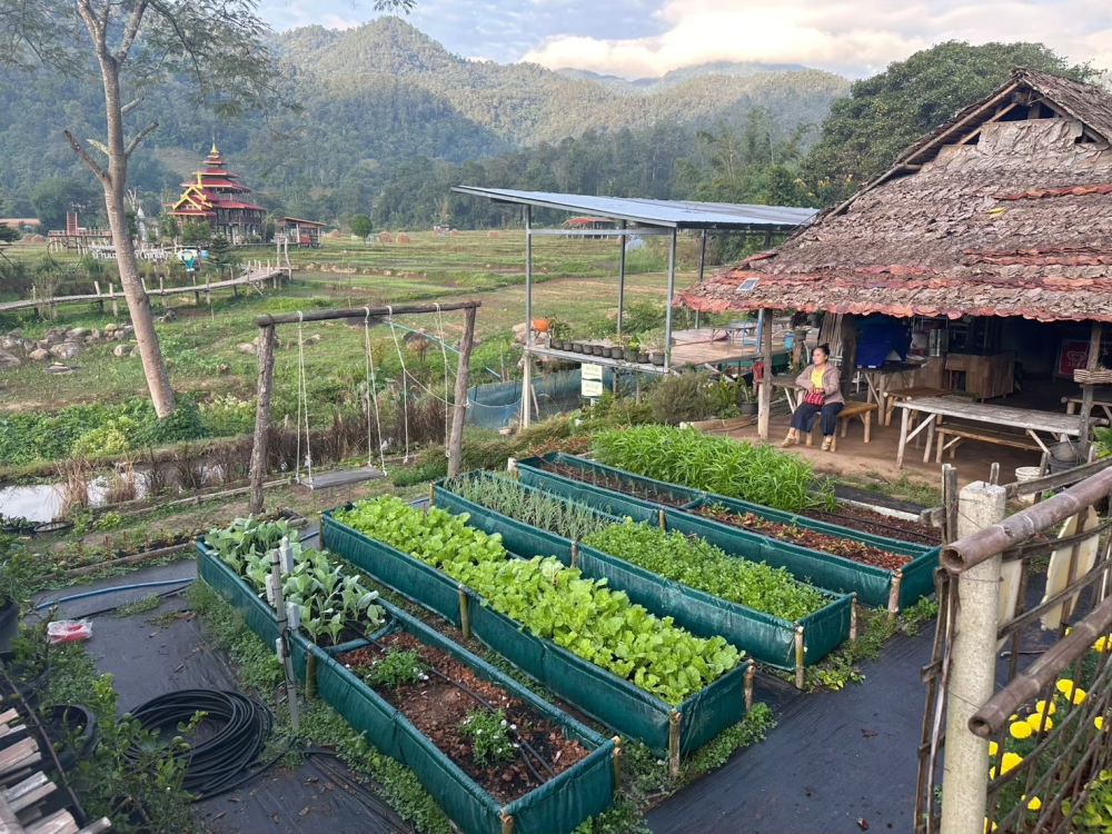 ชุมชนท่องเที่ยวบ้านแพมบก จังหวัดแม่ฮ่องสอน