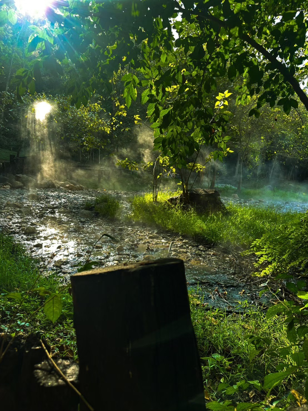 ชุมชนท่องเที่ยวบ้านแพมบก จังหวัดแม่ฮ่องสอน