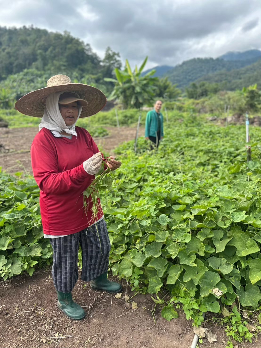 ชุมชนท่องเที่ยวบ้านแพมบก จังหวัดแม่ฮ่องสอน