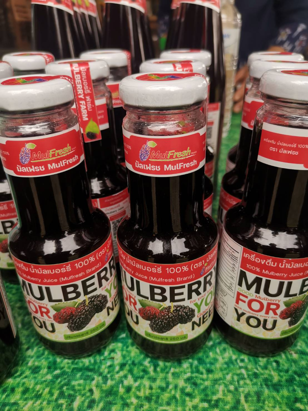 ชุมชนท่องเที่ยวบ้านออนใต้ จังหวัดเชียงใหม่