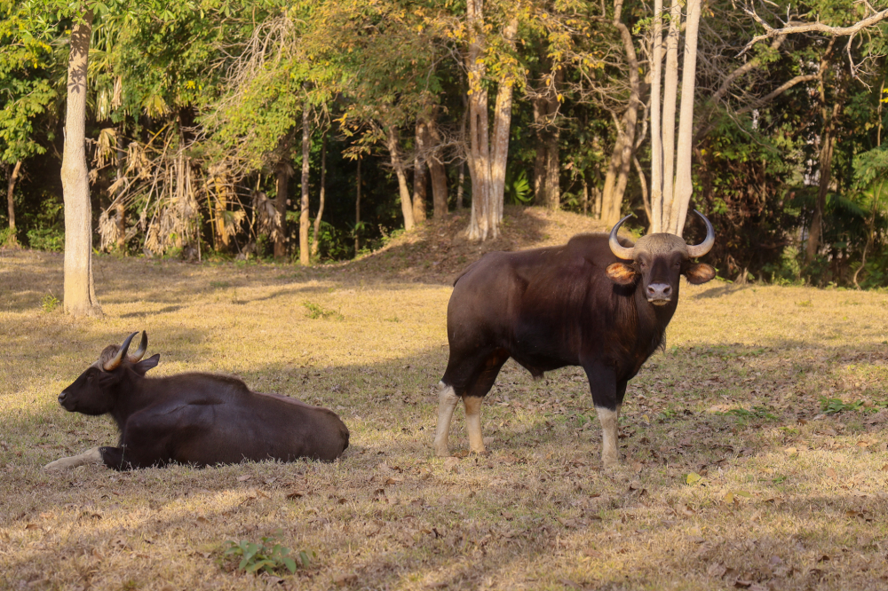 ชุมชนท่องเที่ยวบ้านคลองทราย อำเภอวังน้ำเขียว จังหวัดนครราชสีมา