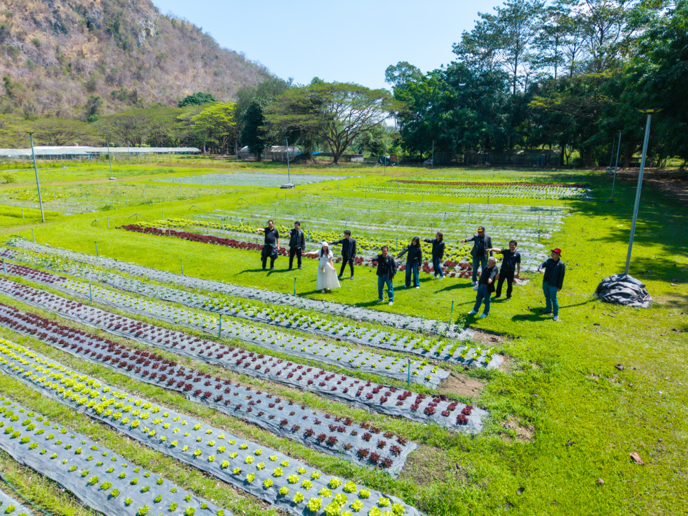 ชุมชนท่องเที่ยวบ้านคลองทราย