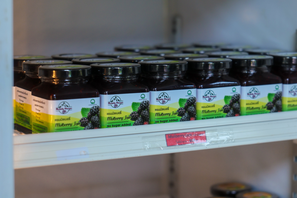 ชุมชนท่องเที่ยวบ้านคลองทราย