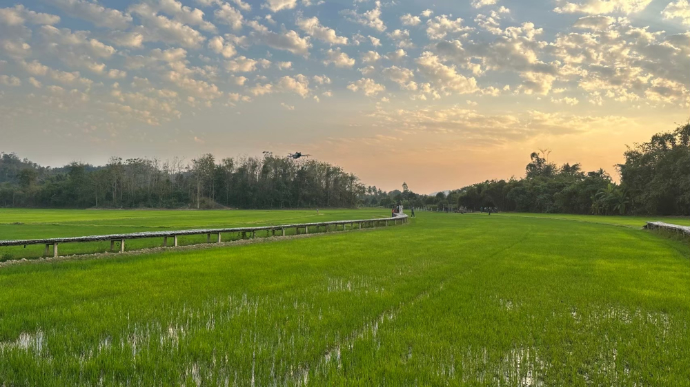 ชุมชนท่องเที่ยวบ้านนาต้นจั่น จังหวัดสุโขทัย