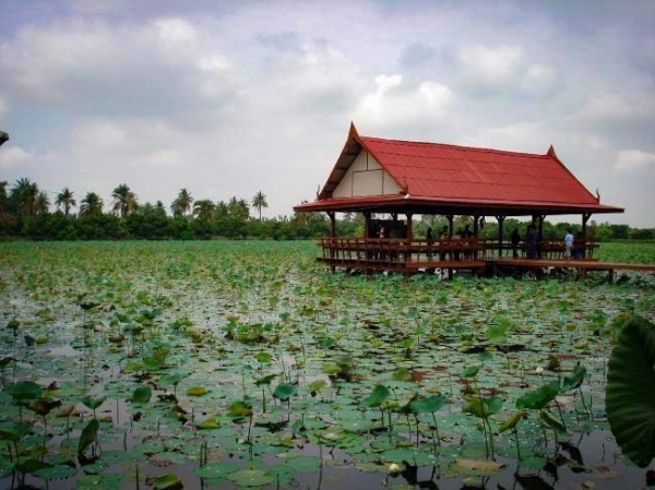เชิญมาสัมผัสกลิ่นอายธรรมชาติกับตลาดน้ำคลองมหาสวัสดิ์