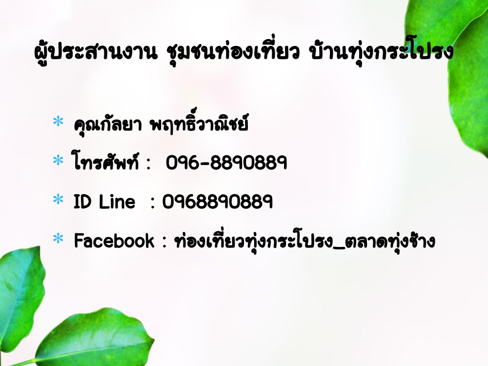 ชุมชนท่องเที่ยวบ้านทุ่งกระโปรงอำเภอบ้านนา