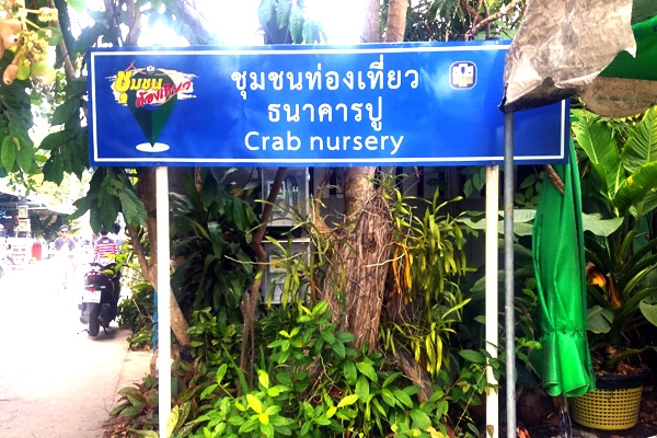 ธนาคารปูเพาะพันธ์ปูม้าและอนุบาลลูกปูม้า
