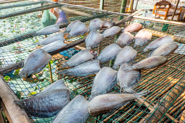 สุ่มปลายักษ์