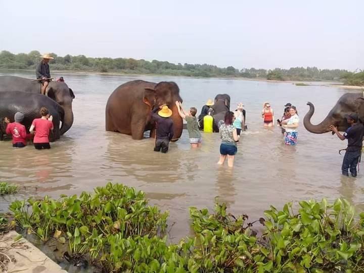 ความประทับใจ