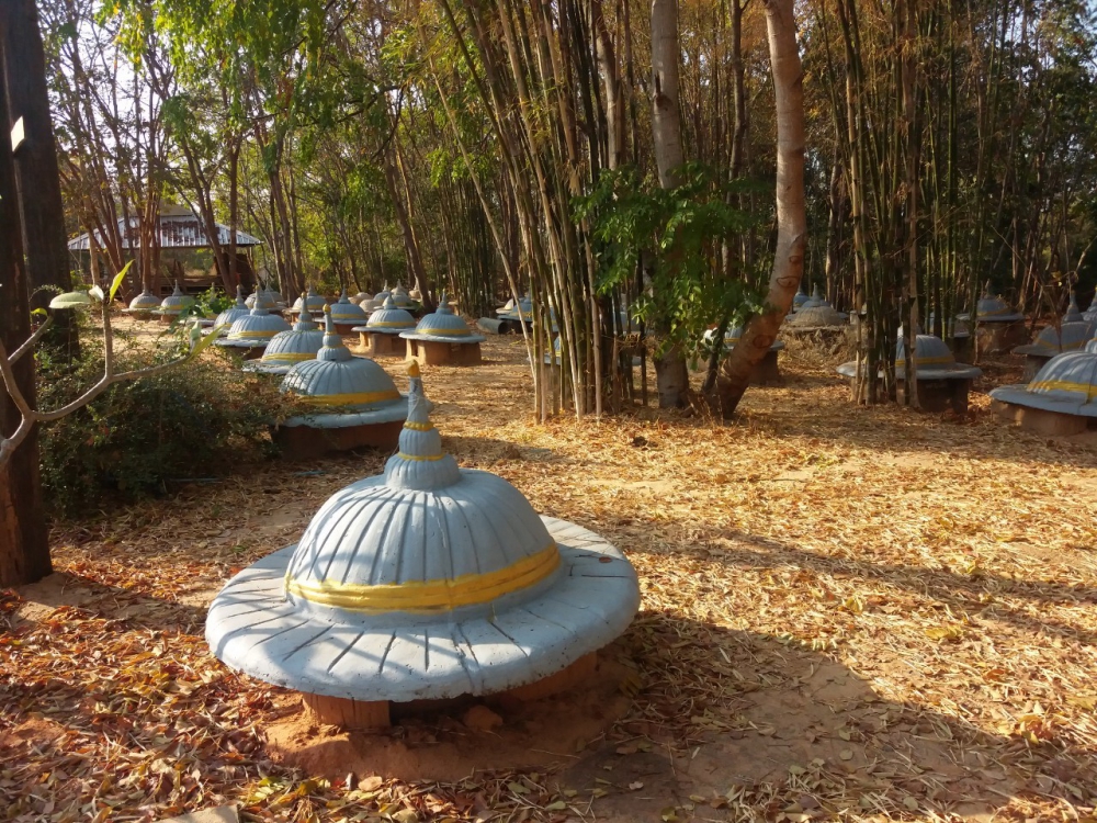 สุสานช้าง