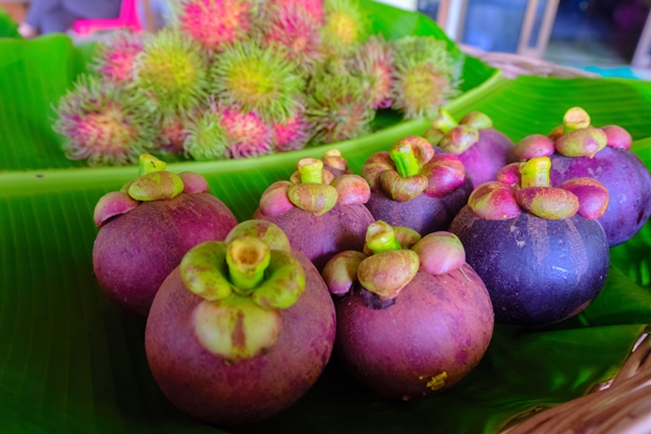 ความประทับใจ